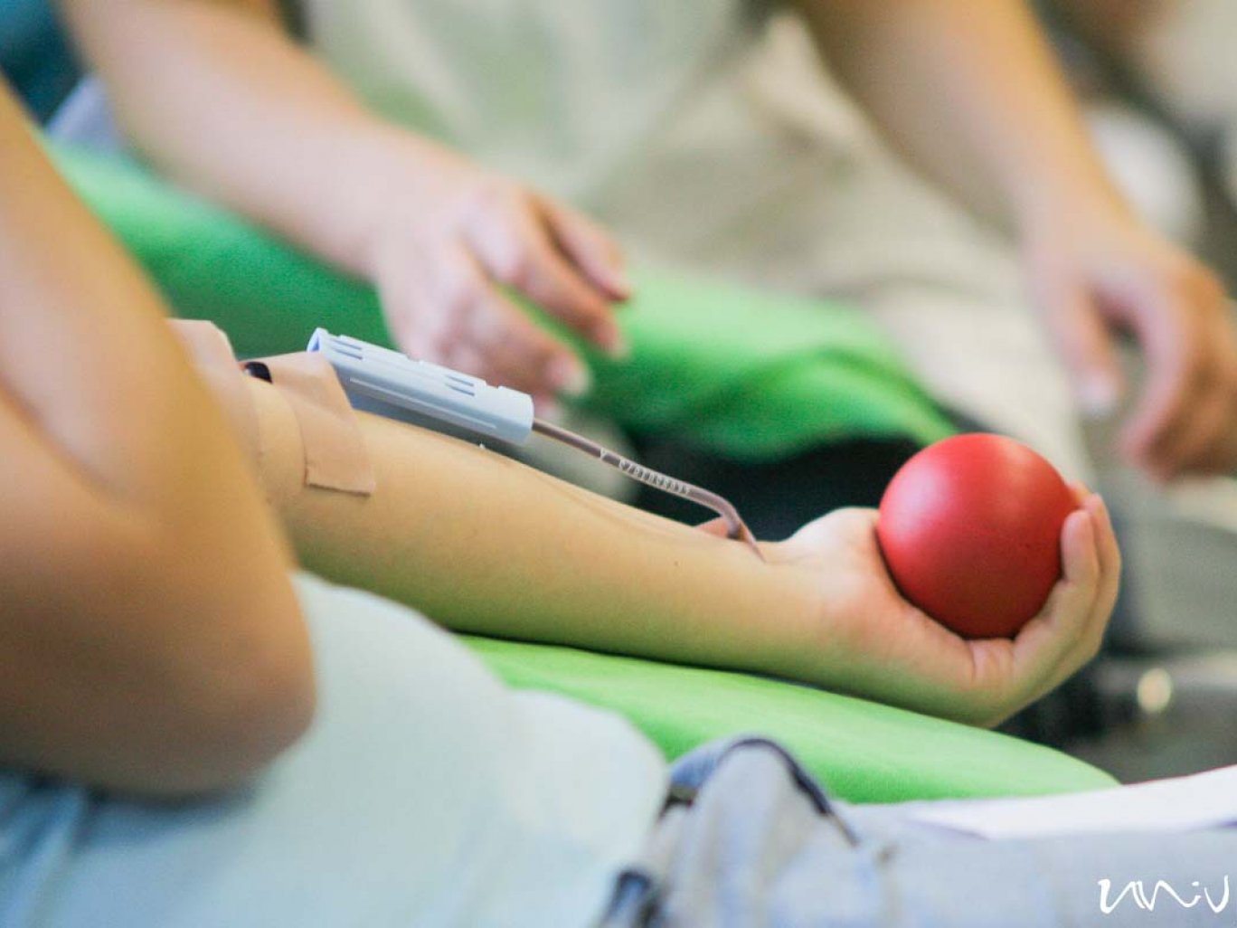 fotó: Csortos Szabolcs